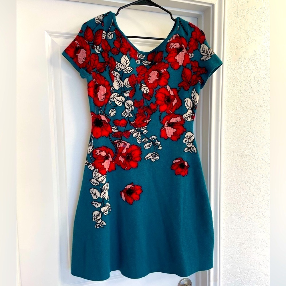 Anthropologie Teal Dress with Red Floral Embroidery